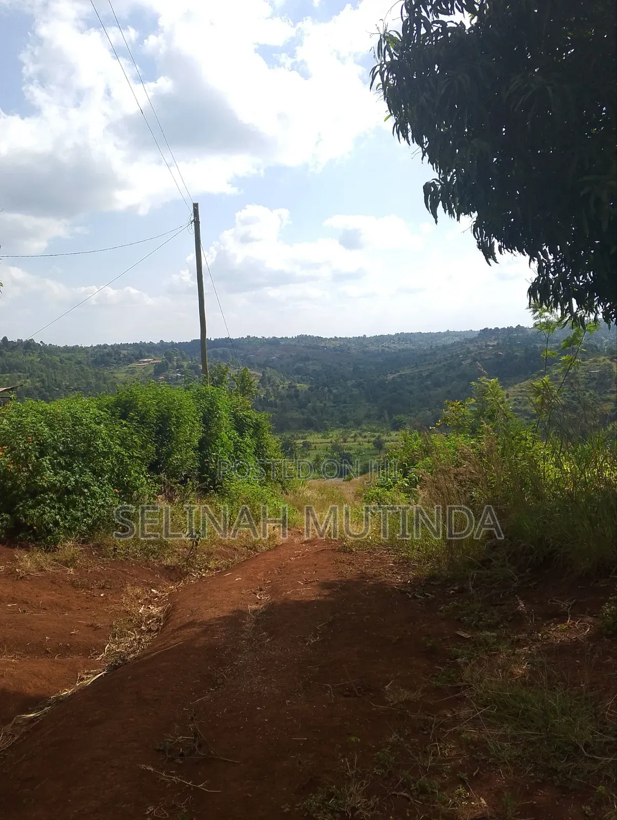 Joy Garden Kenol on Your Way to Milimani Estate in Kimorori/Wempa