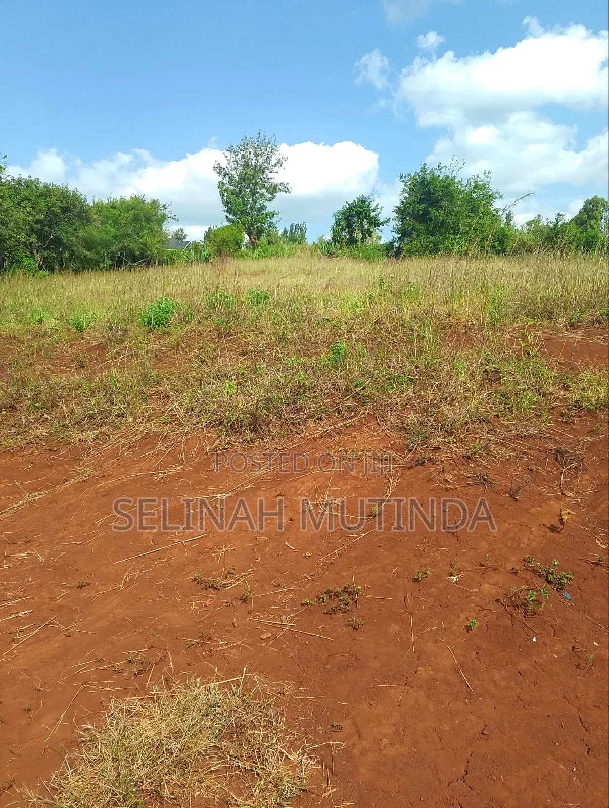 Joy Garden Kenol on Your Way to Milimani Estate in Kimorori/Wempa
