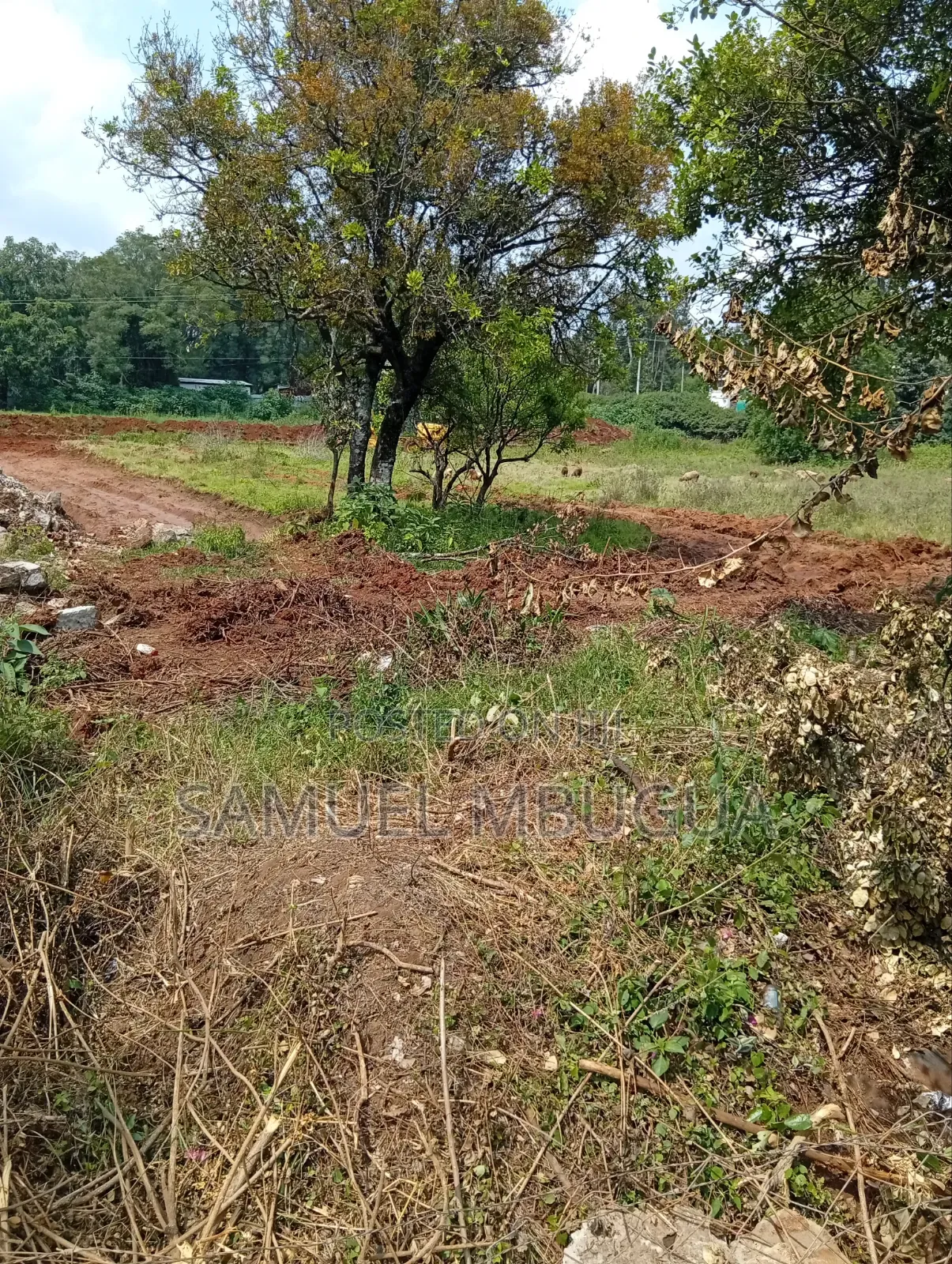Half Acre Plots in Karen in Karen