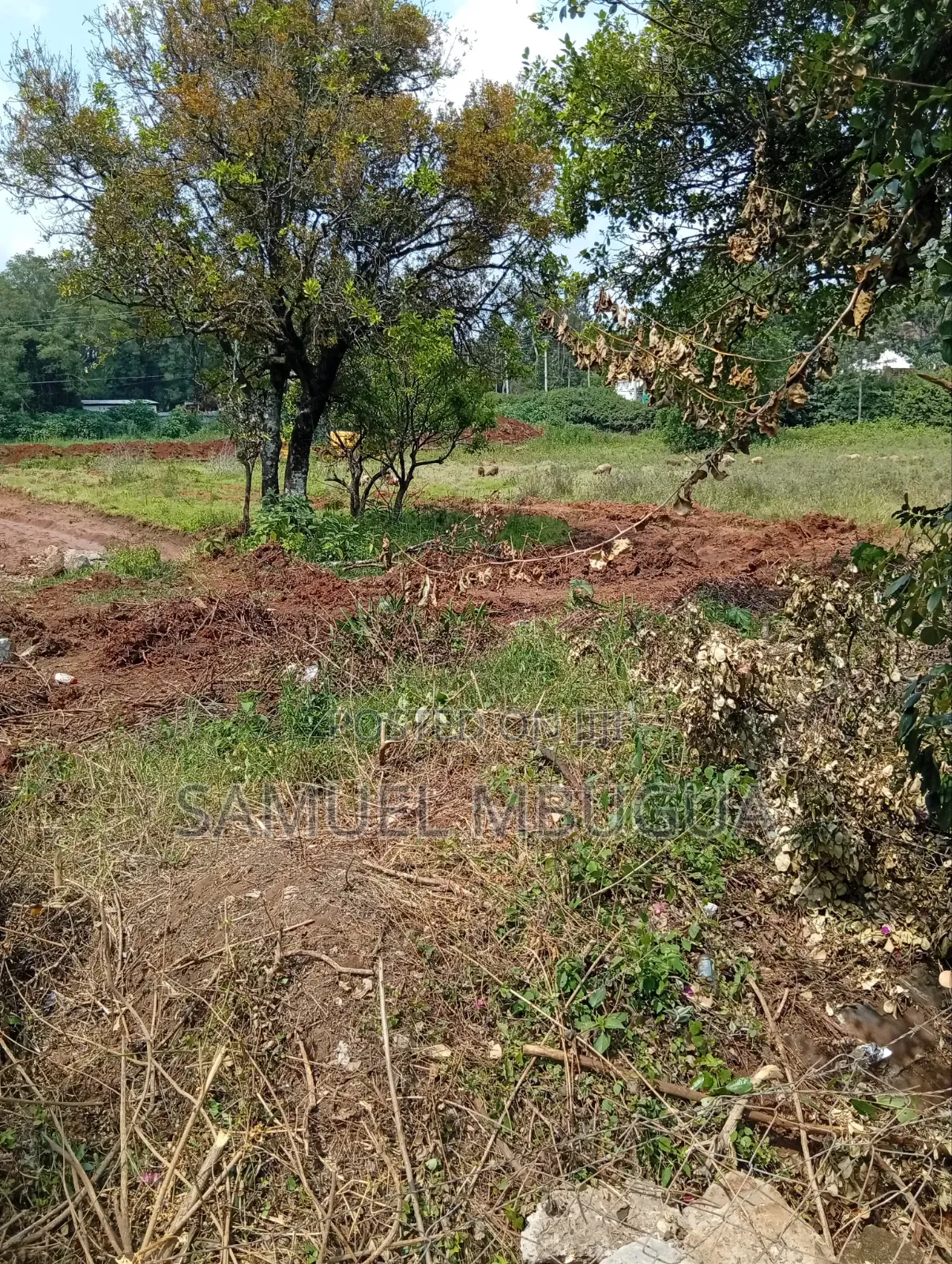 Half Acre Plots in Karen in Karen