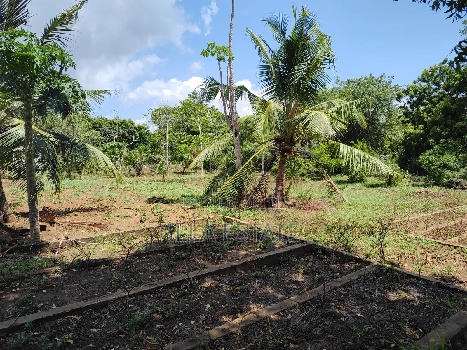 Rare 1/4 Acre Serviced Plot Near Diani Beach in Diani