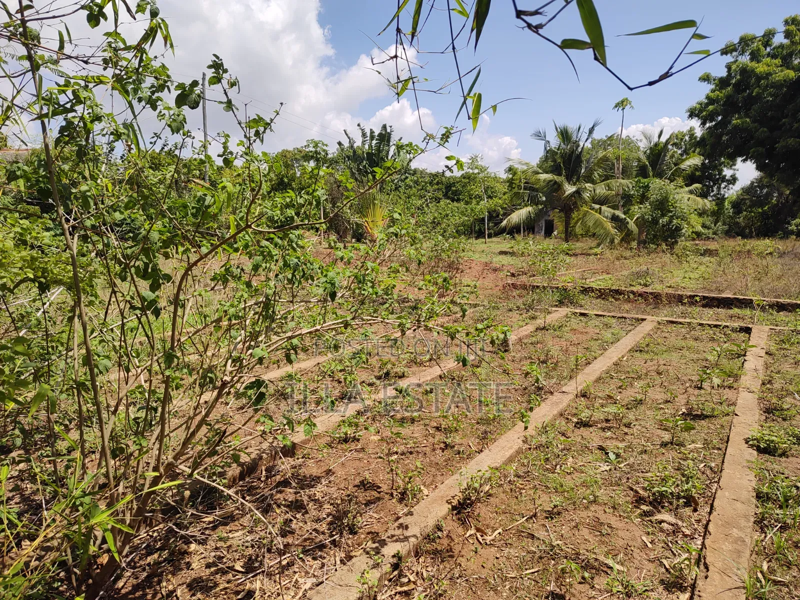 Rare 1/4 Acre Serviced Plot Near Diani Beach in Diani