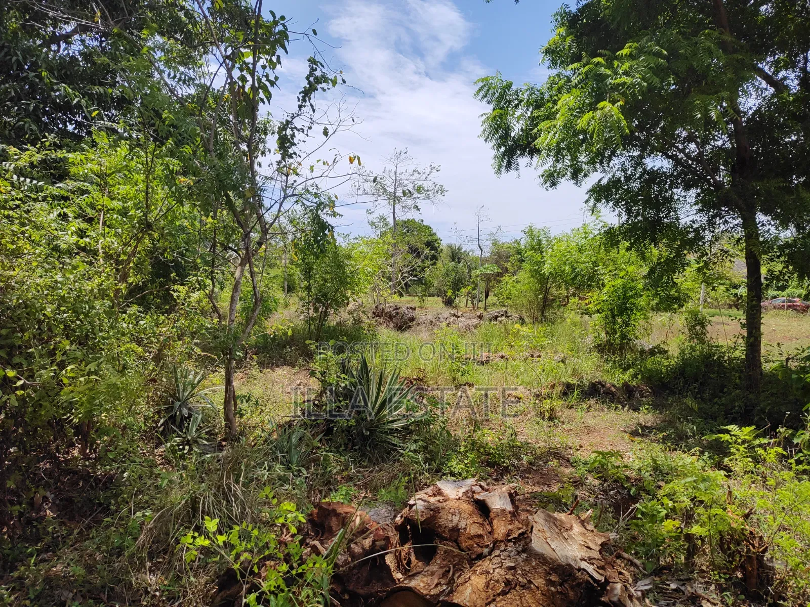 Rare 1/4 Acre Serviced Plot Near Diani Beach in Diani