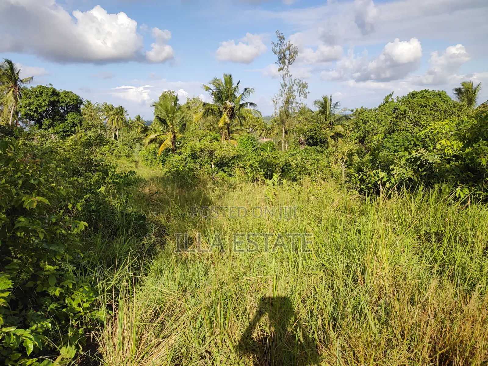 2nd Row Prime Plots in Diani