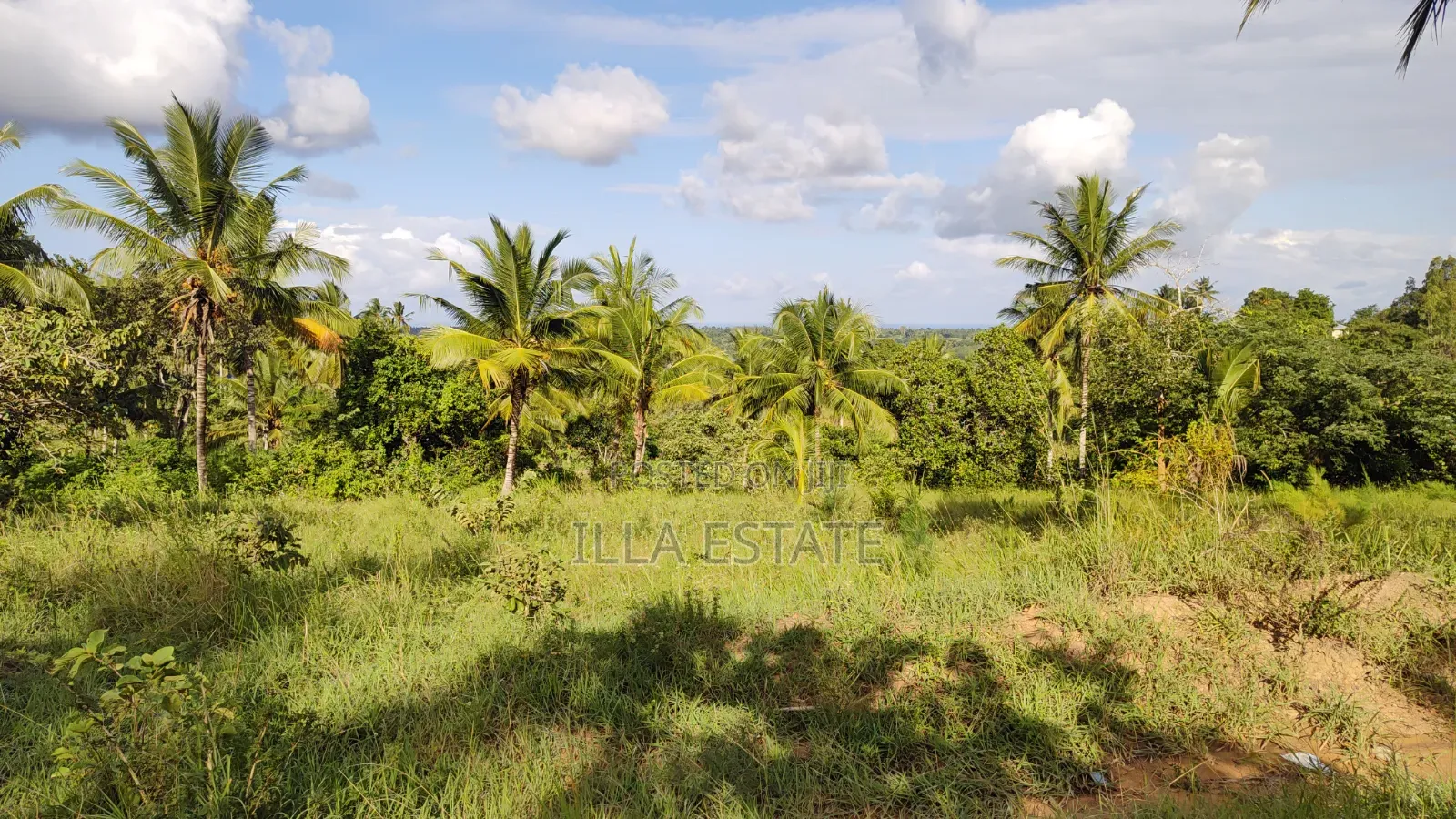 2nd Row Prime Plots in Diani