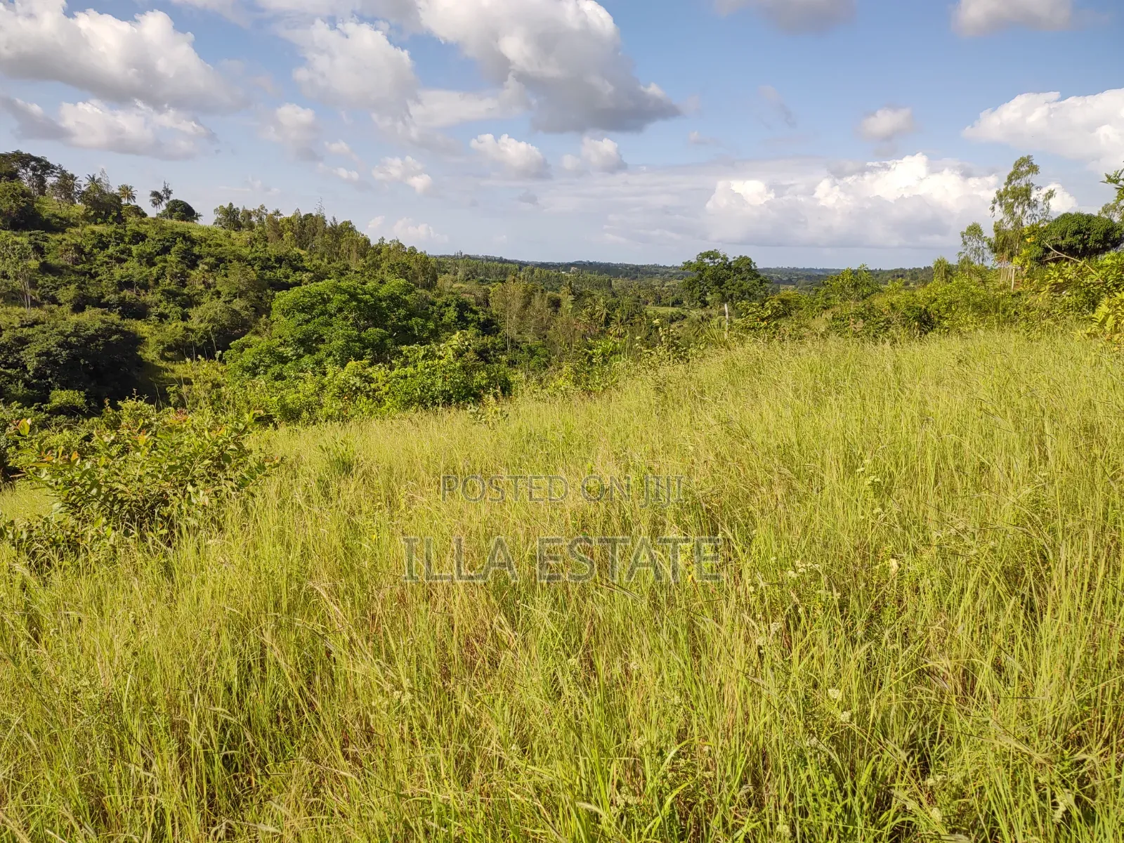 2nd Row Prime Plots in Diani