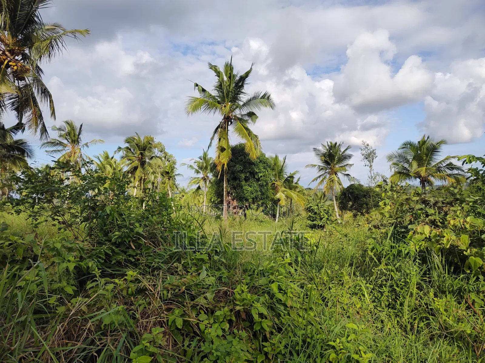 2nd Row Prime Plots in Diani