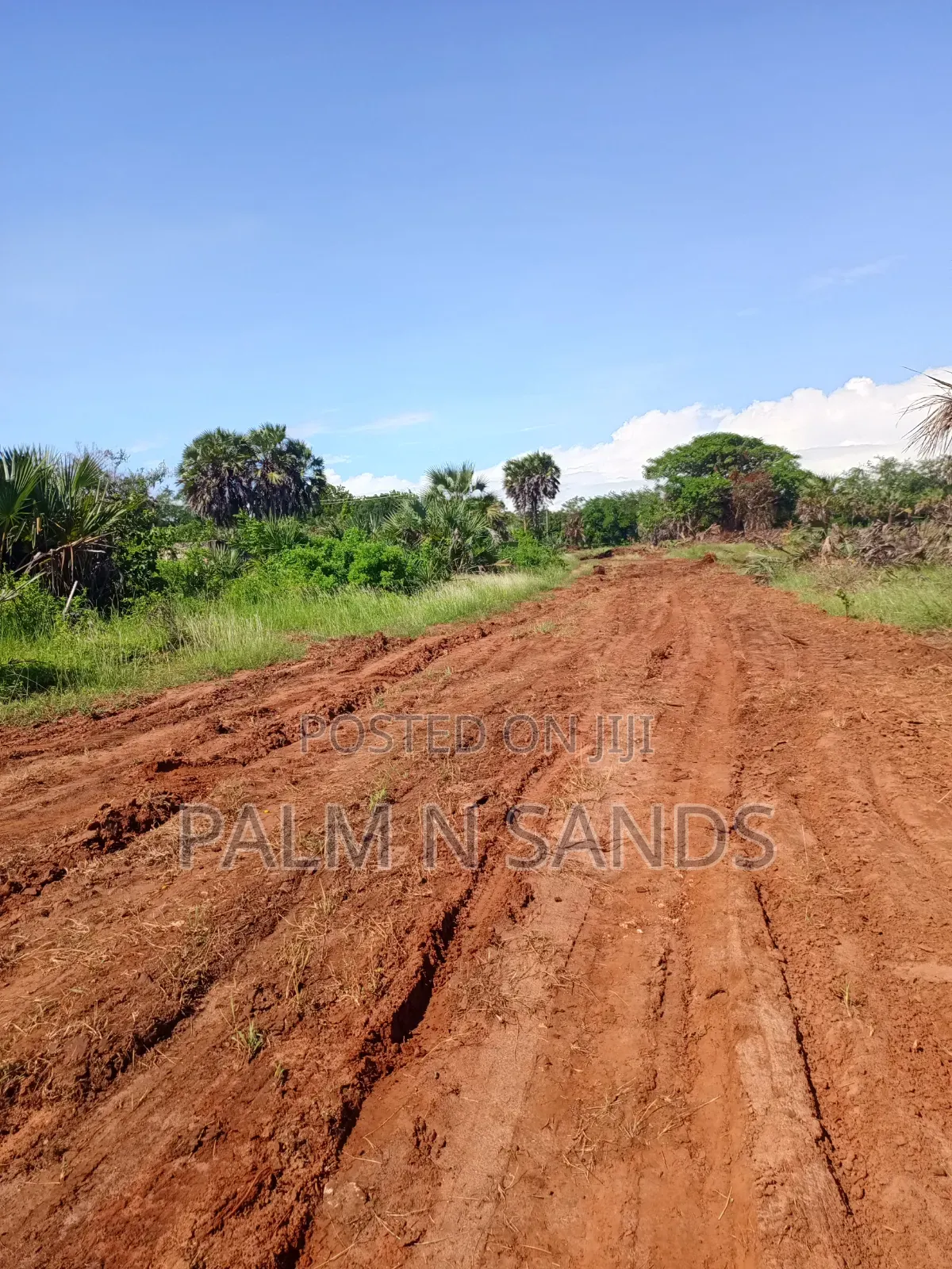 1.5 Acres in Galu Diani on Sale in Diani