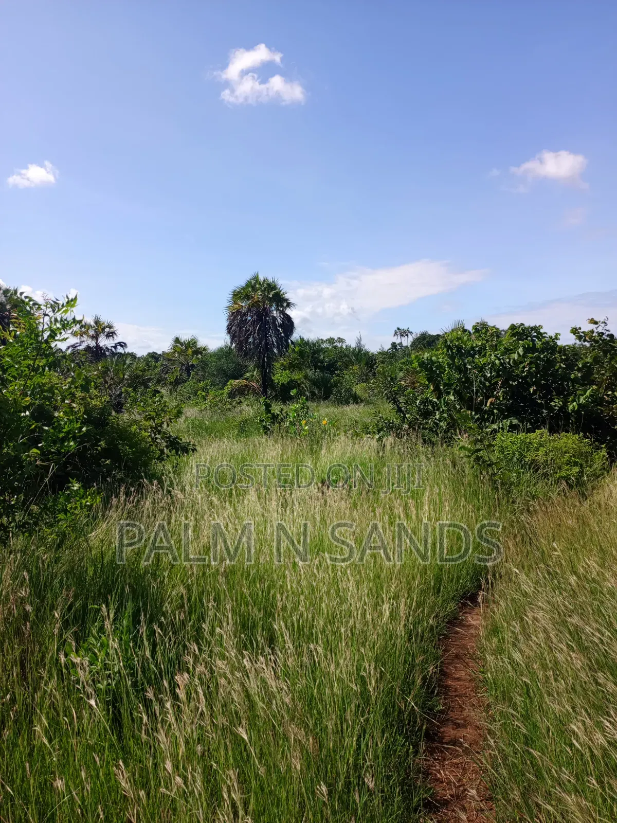1.5 Acres in Galu Diani on Sale in Diani