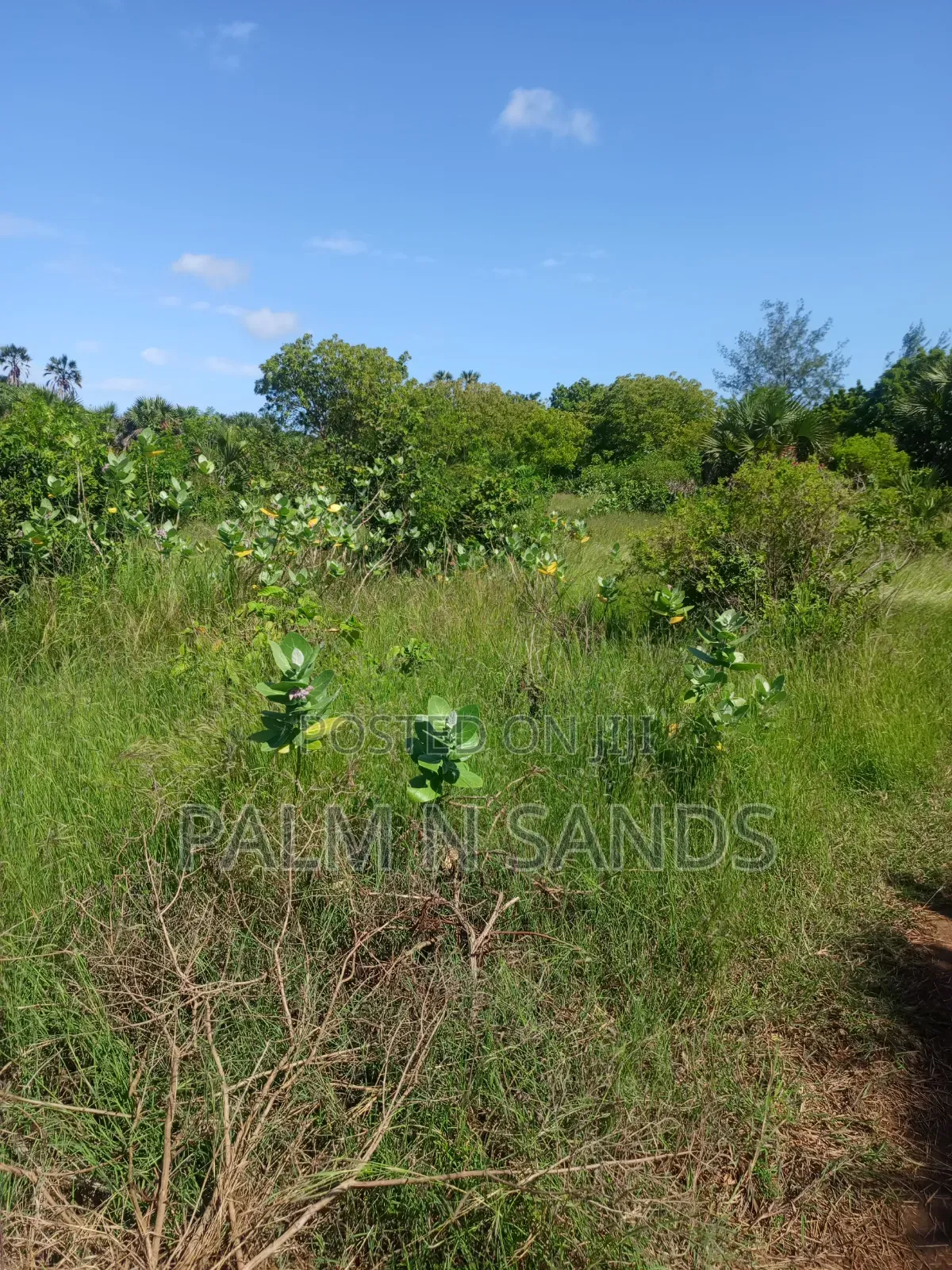 1.5 Acres in Galu Diani on Sale in Diani