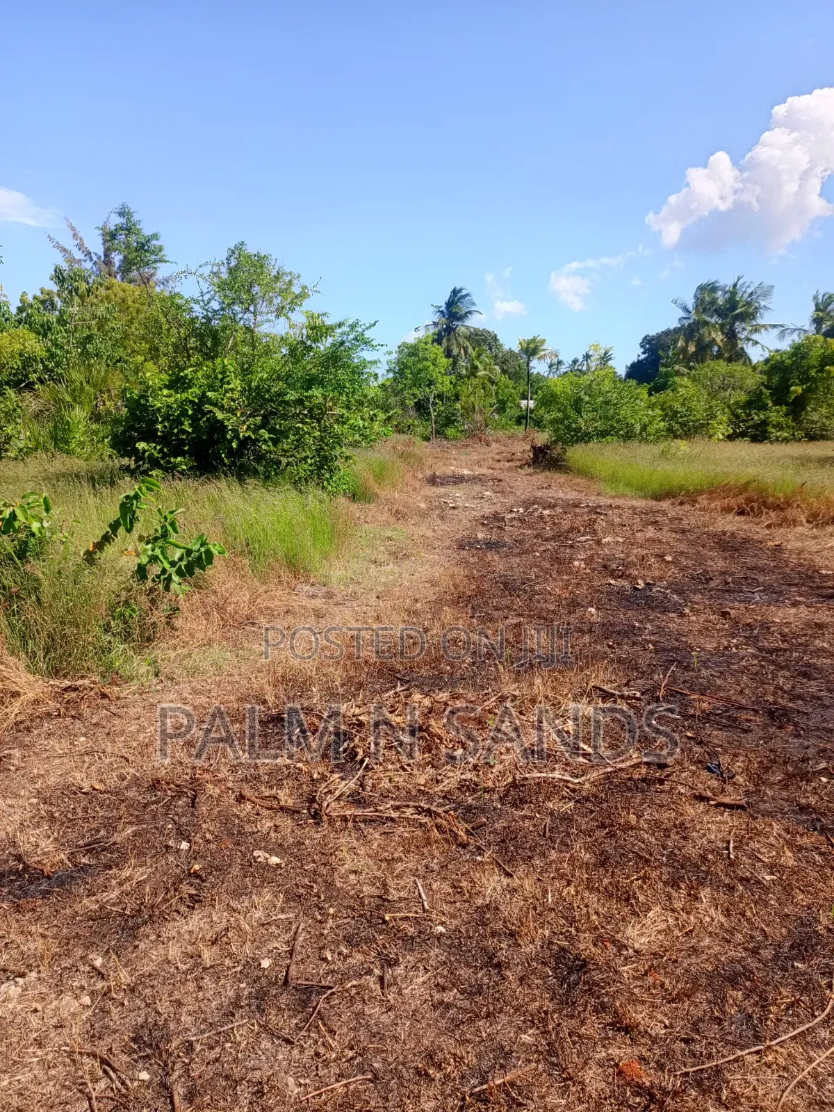 1 Acre Land in Galu Diani With Plenty of Trees in Diani