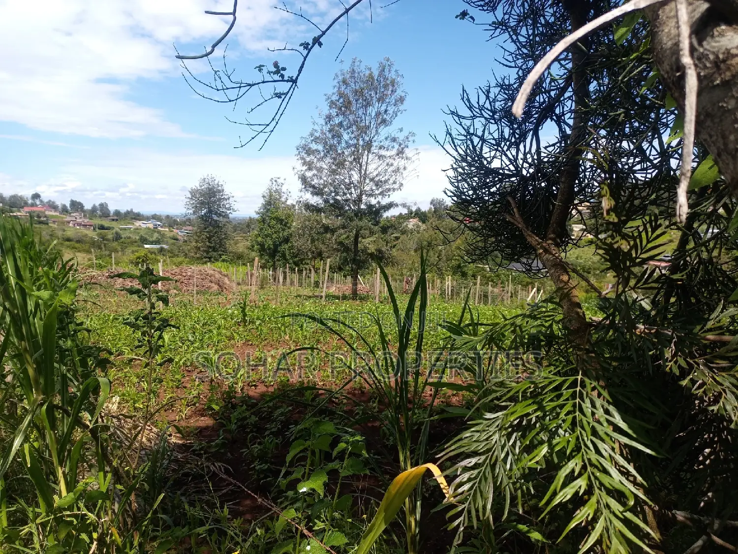 Ongata Rongai, Nkoroi - Residential Plots On in Nkoroi