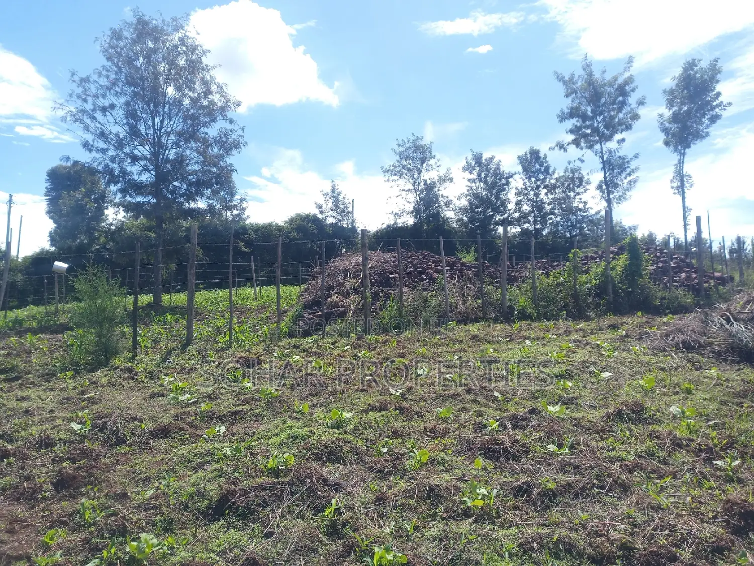 Ongata Rongai, Nkoroi - Residential Plots On in Nkoroi