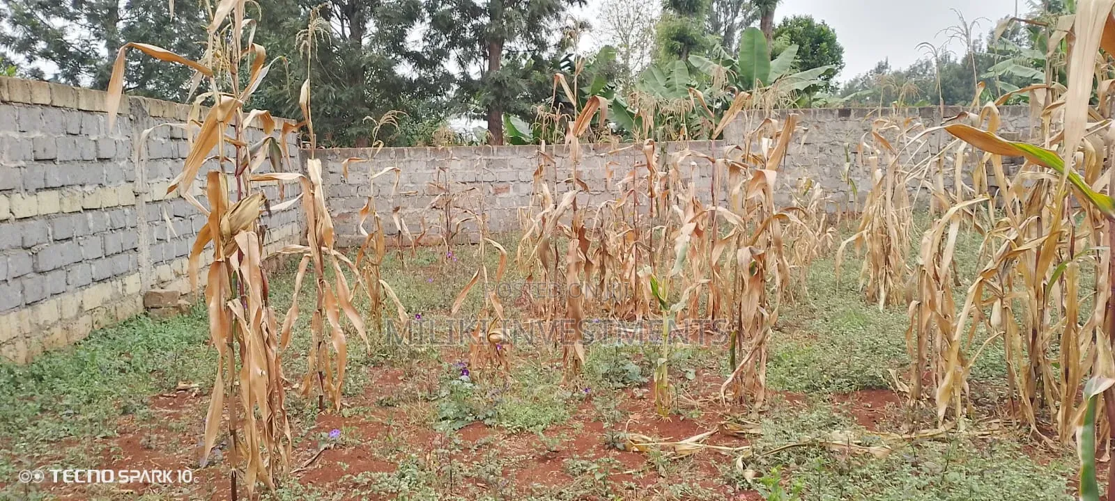 Residential Plot for Sale at Ruiru Mugutha in Kimbo