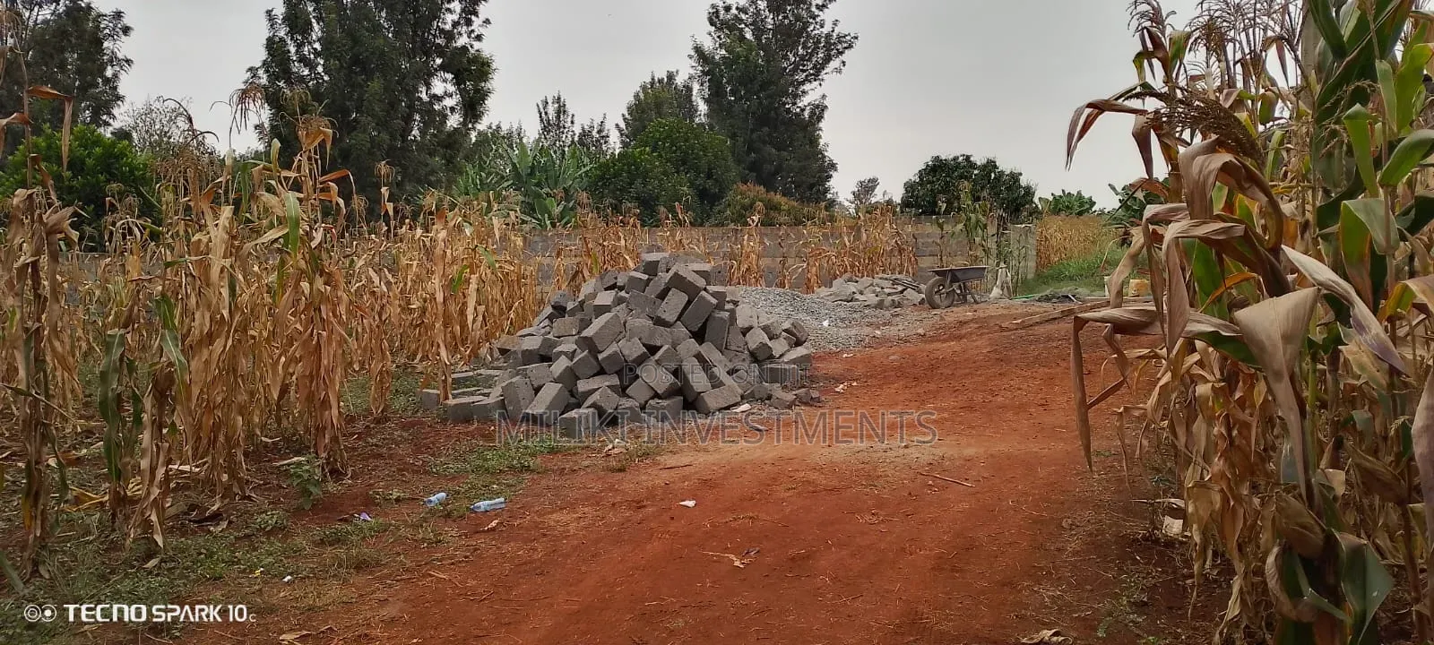 Residential Plot for Sale at Ruiru Mugutha in Kimbo