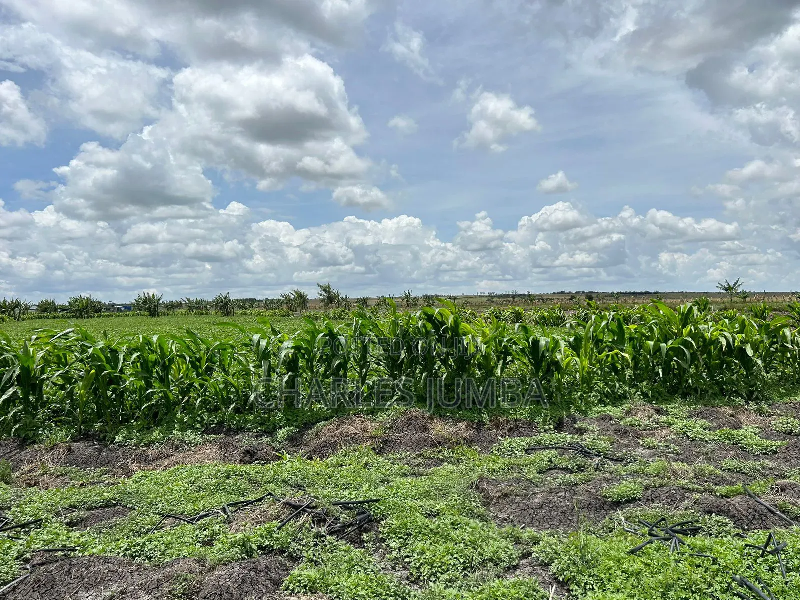 10 Acres With Borehole in Isinya