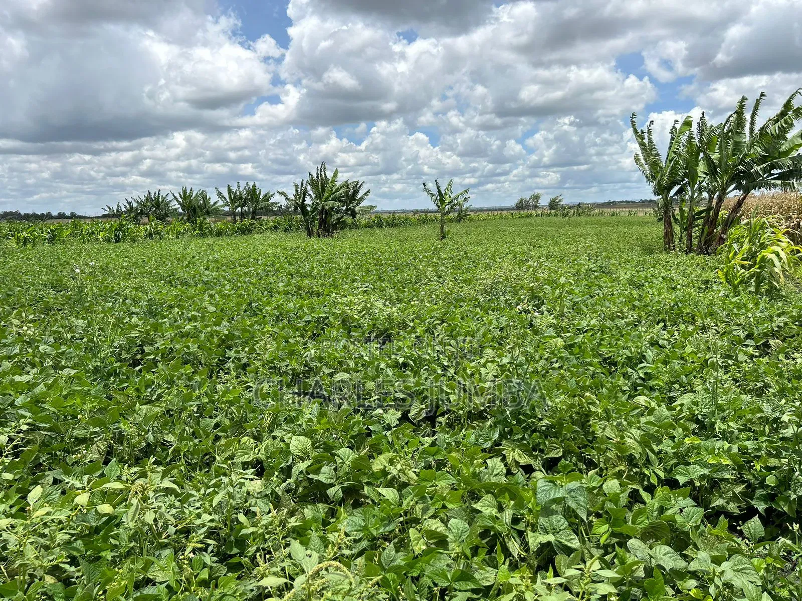 10 Acres With Borehole in Isinya