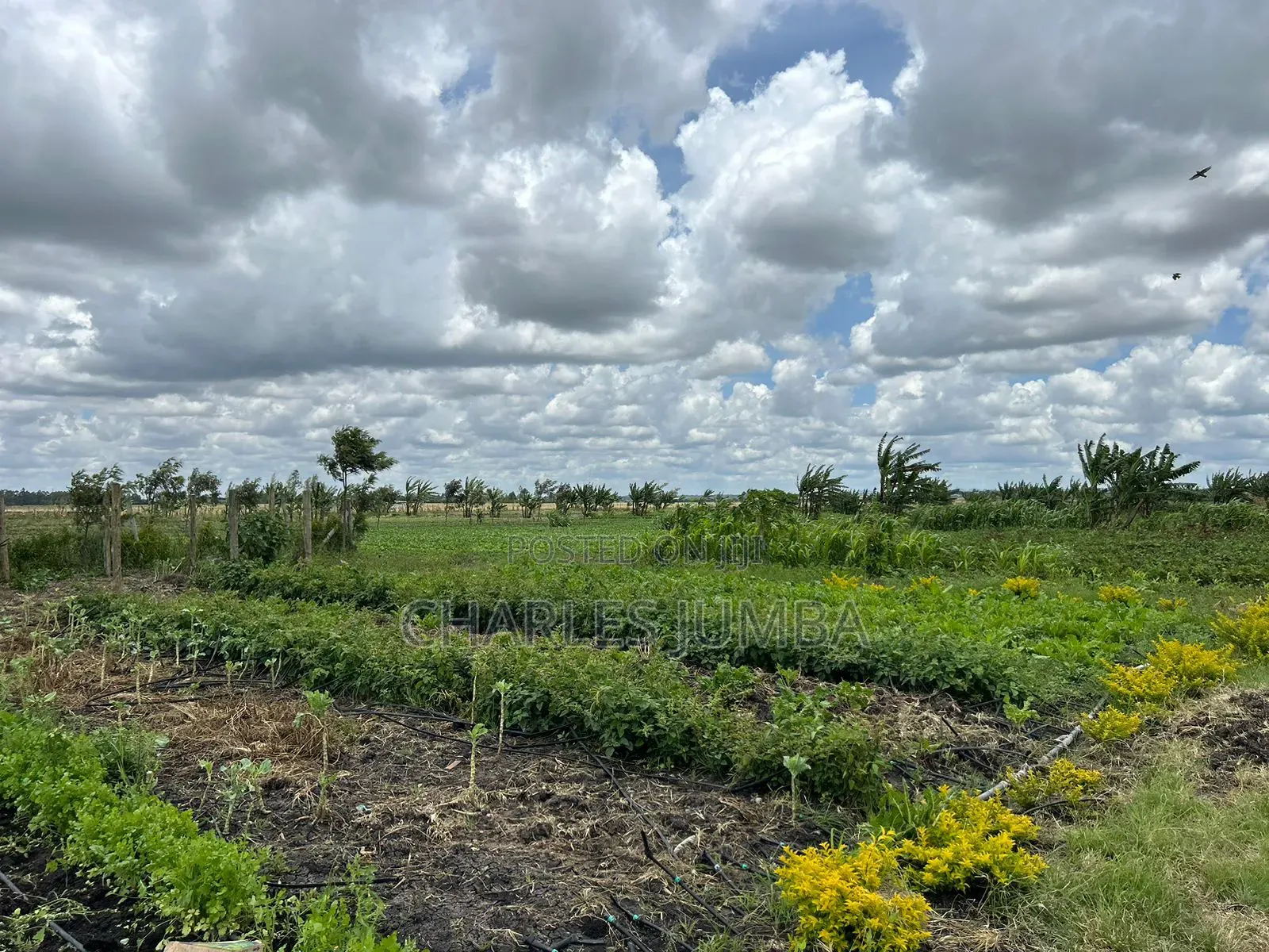 10 Acres With Borehole in Isinya