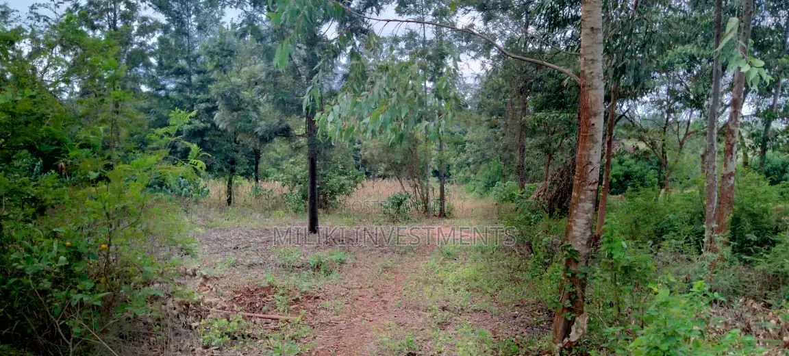 One Acre on Sale at Kirinyaga -Kimbimbi in Nyangati