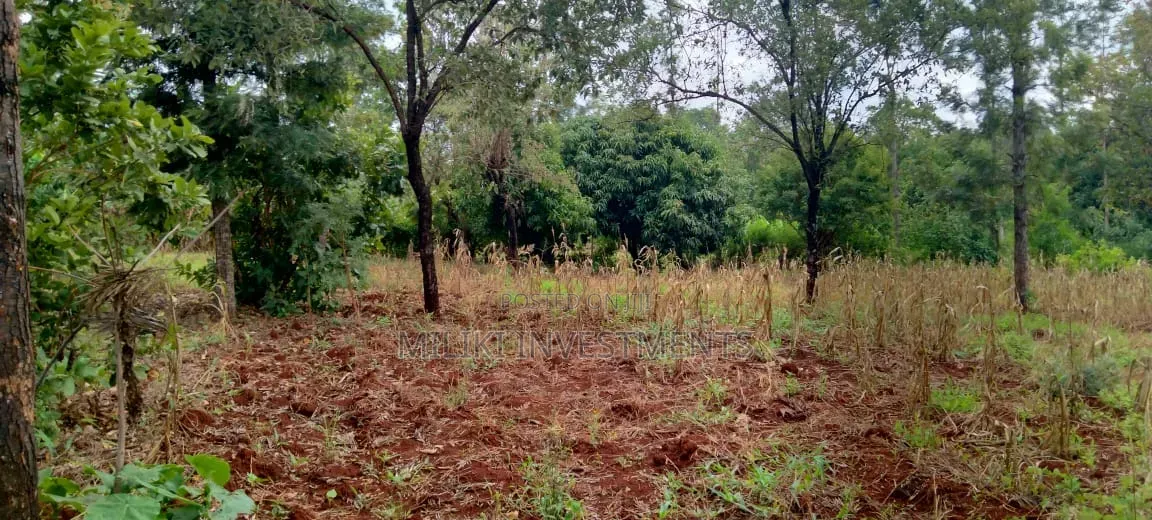 One Acre on Sale at Kirinyaga -Kimbimbi in Nyangati