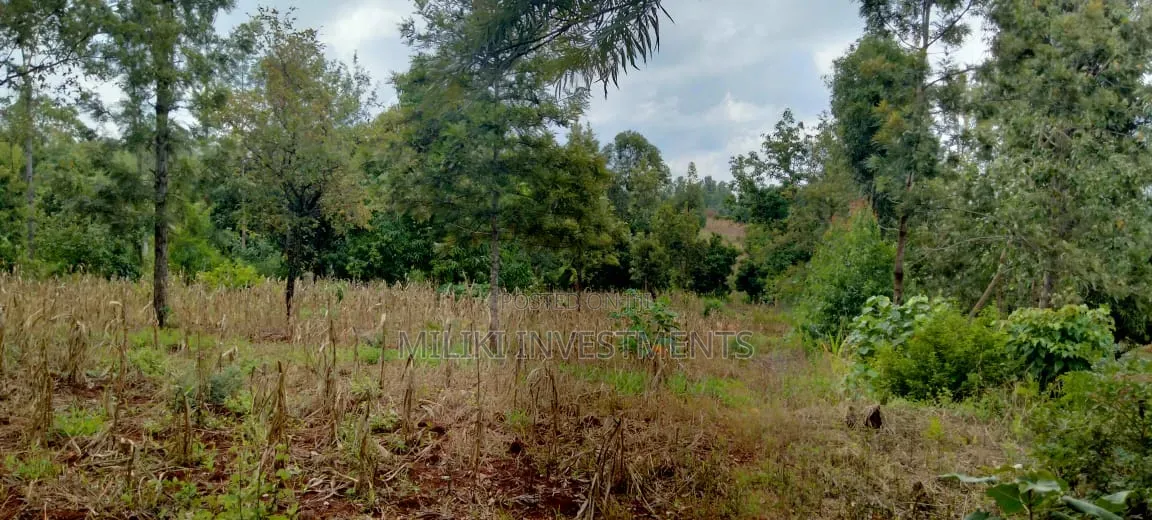 One Acre on Sale at Kirinyaga -Kimbimbi in Nyangati