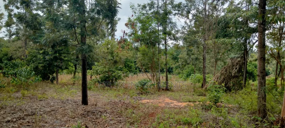 One Acre on Sale at Kirinyaga -Kimbimbi in Nyangati