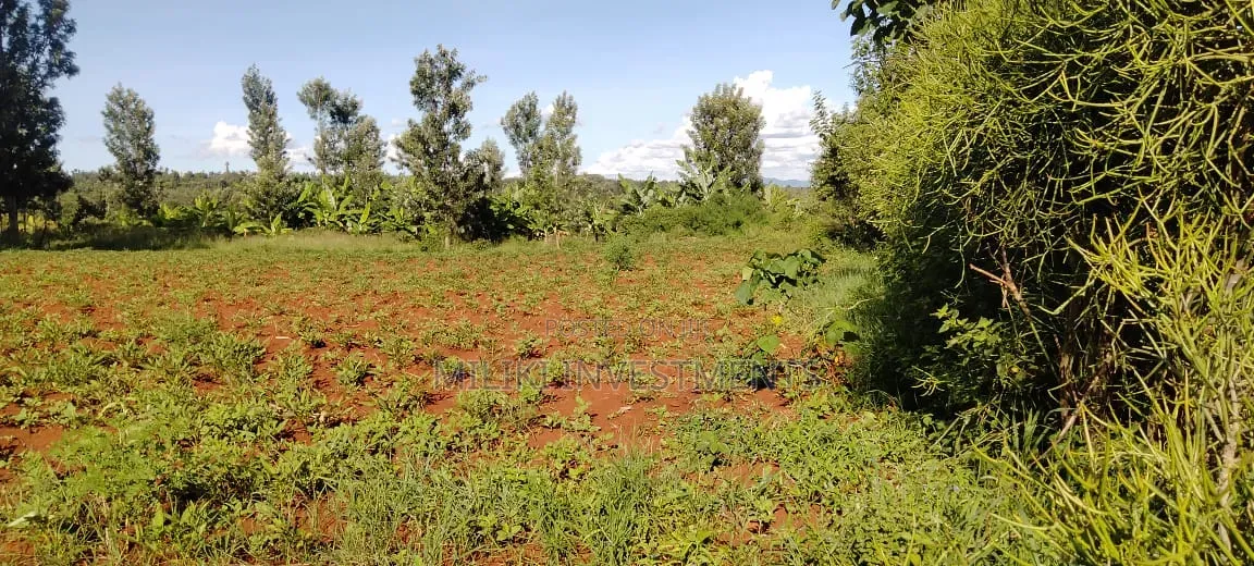 Half an Acre on Sale at Kirinyaga in Nyangati