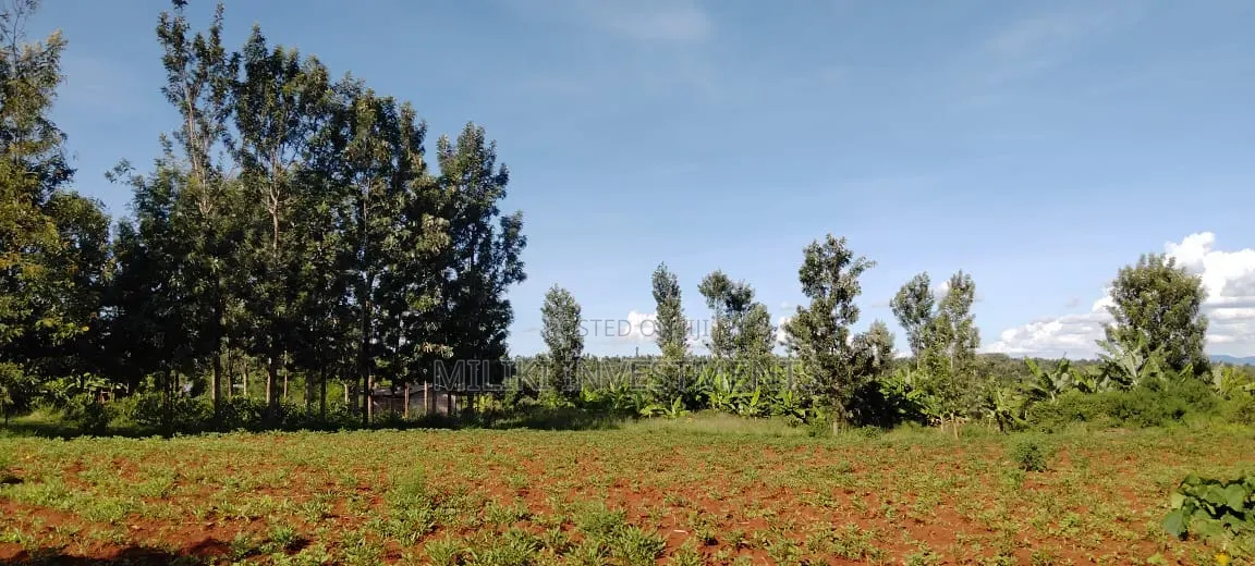 Half an Acre on Sale at Kirinyaga in Nyangati