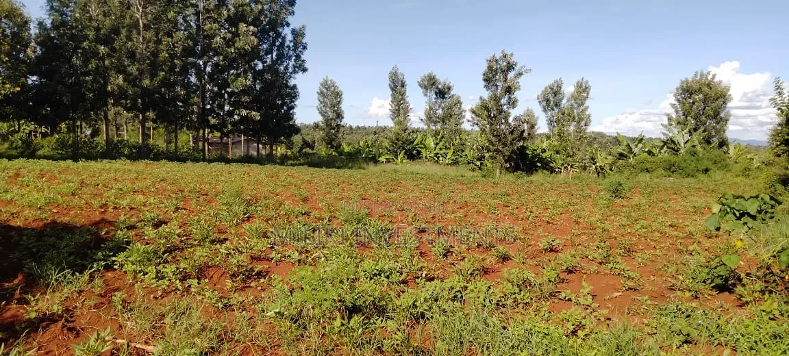 Half an Acre on Sale at Kirinyaga in Nyangati