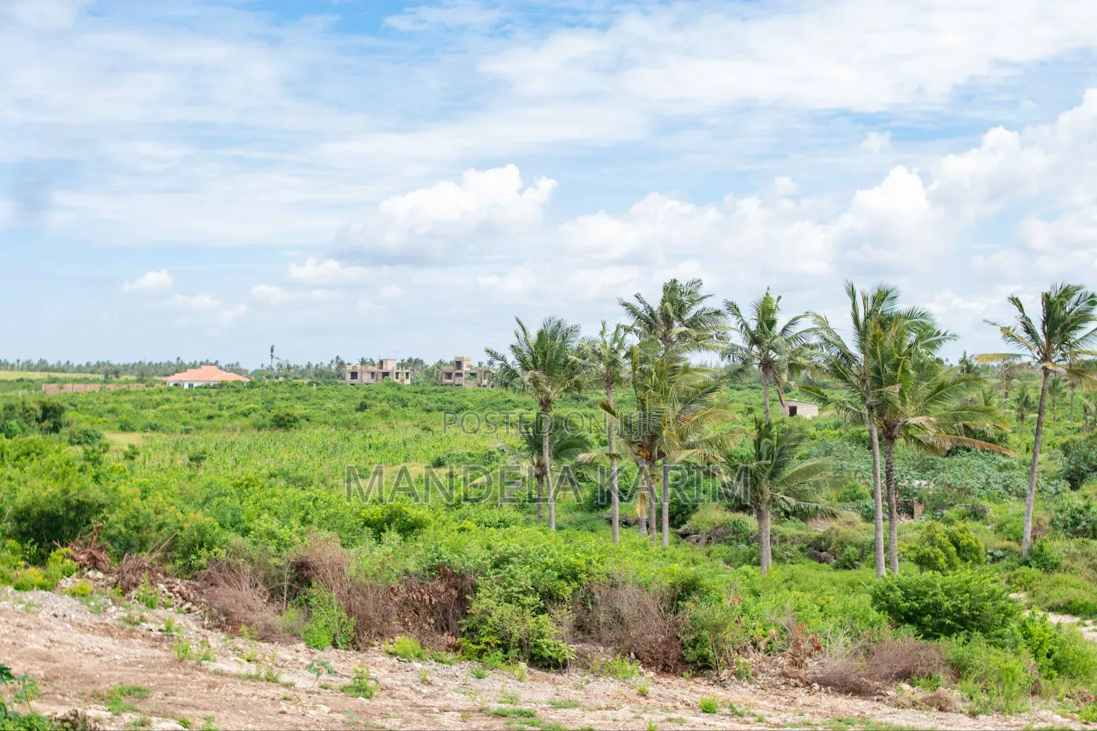 50 by 100 Feet Chumani Beach View Plots in Tezo