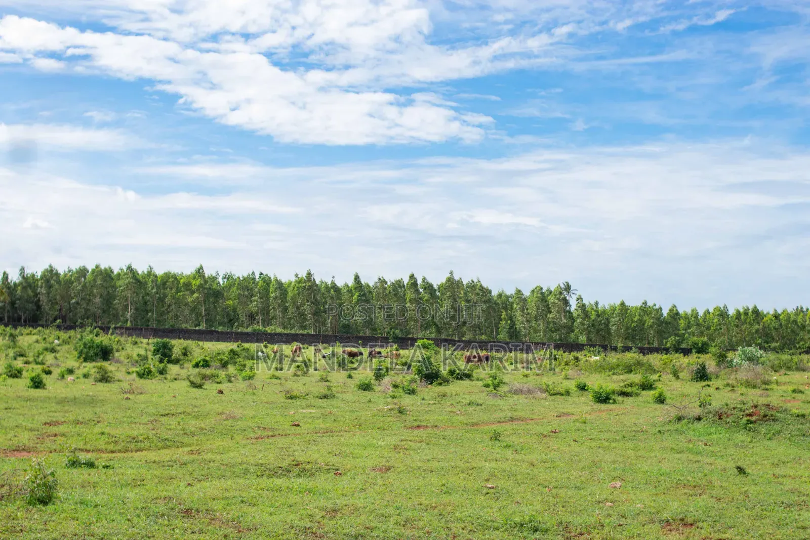 50 by 100ft Residential Plots for Sale Tezo Kilifi in Tezo