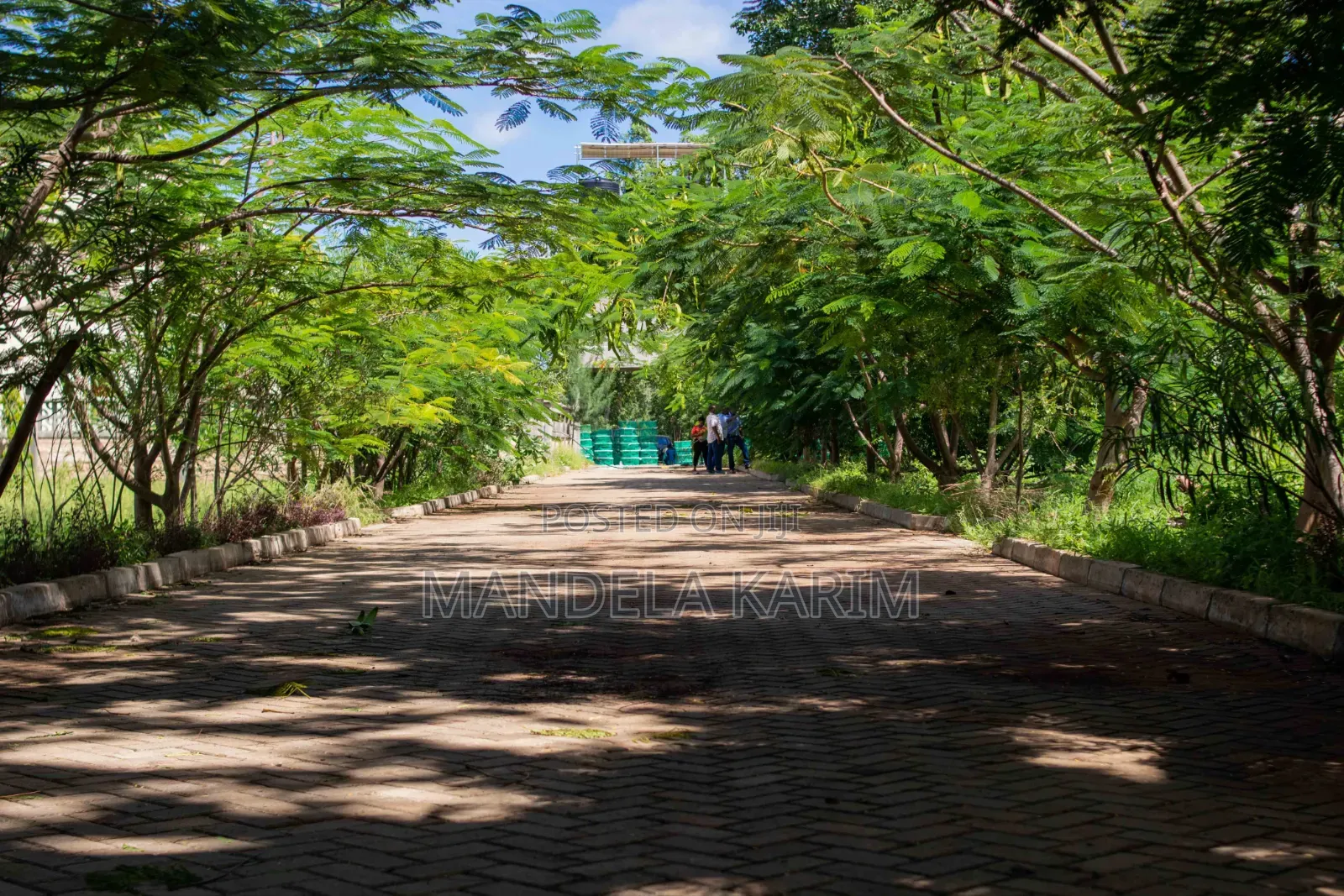 Bofa Kilifi Gated Community Plots (50 by 100ft) in Kilifi Town