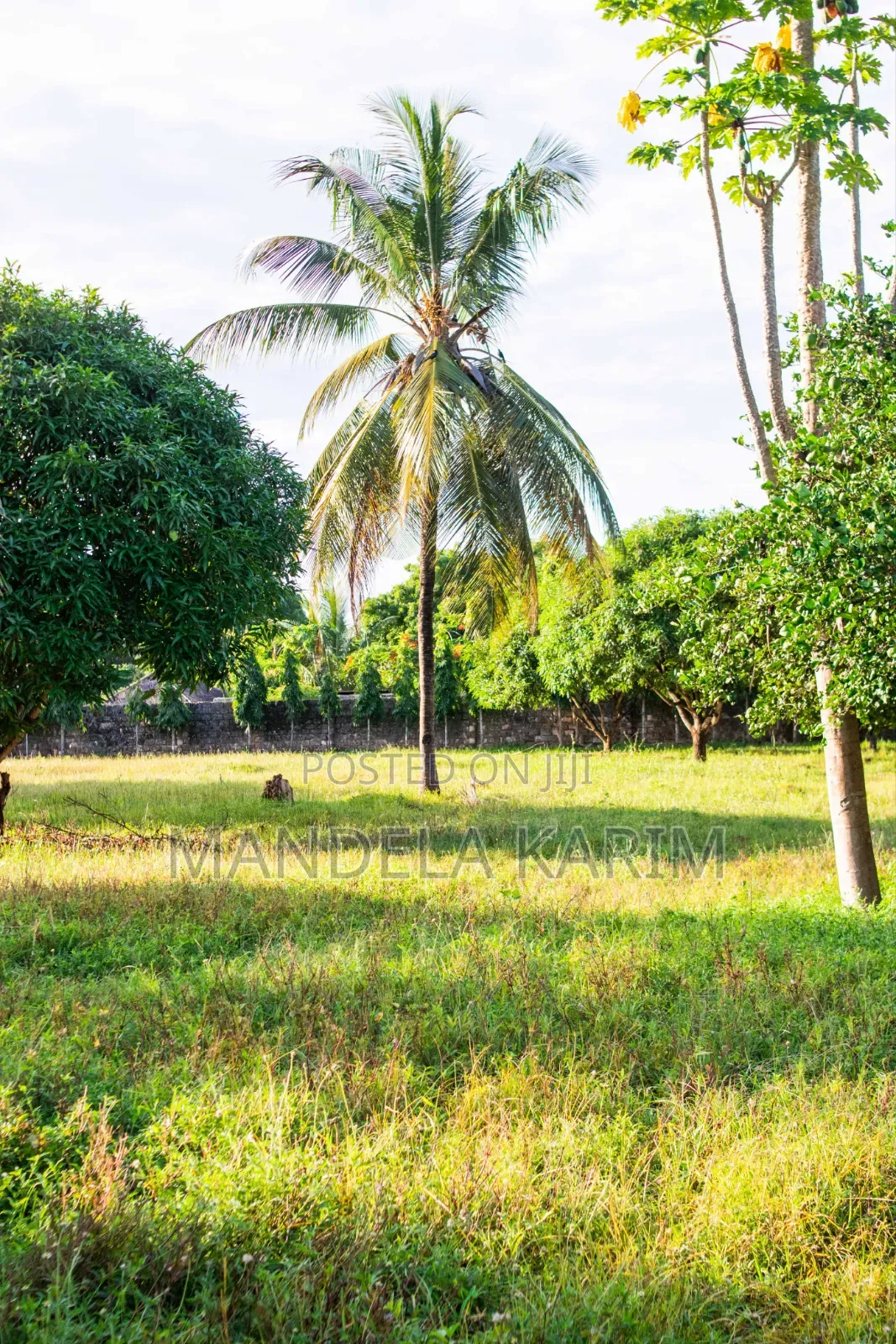 2 Acres|Perimeter Wall|Gazebo|Dsq|Orchard|Bofa Kilifi for Sale in Kilifi Town