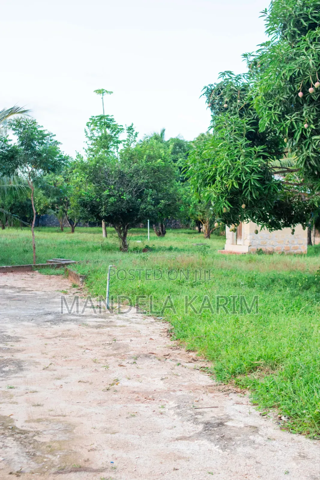 2 Acres|Perimeter Wall|Gazebo|Dsq|Orchard|Bofa Kilifi for Sale in Kilifi Town