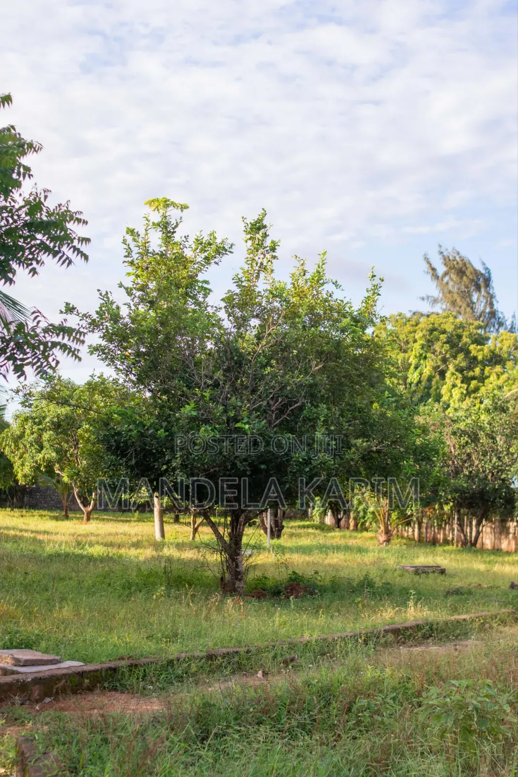 2 Acres|Perimeter Wall|Gazebo|Dsq|Orchard|Bofa Kilifi for Sale in Kilifi Town