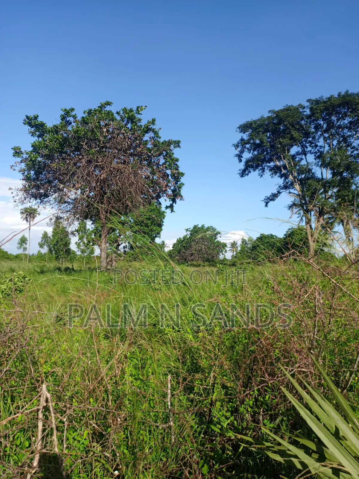 One Acre in Kinondo Diani on Sale! in Diani
