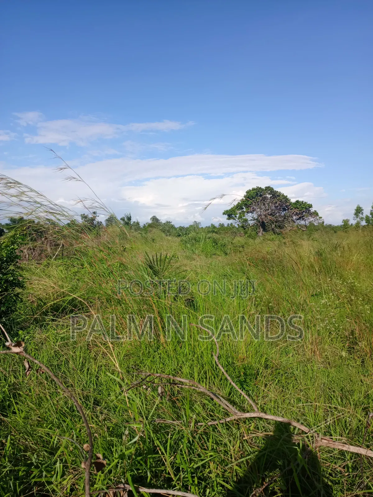 One Acre in Kinondo Diani on Sale! in Diani