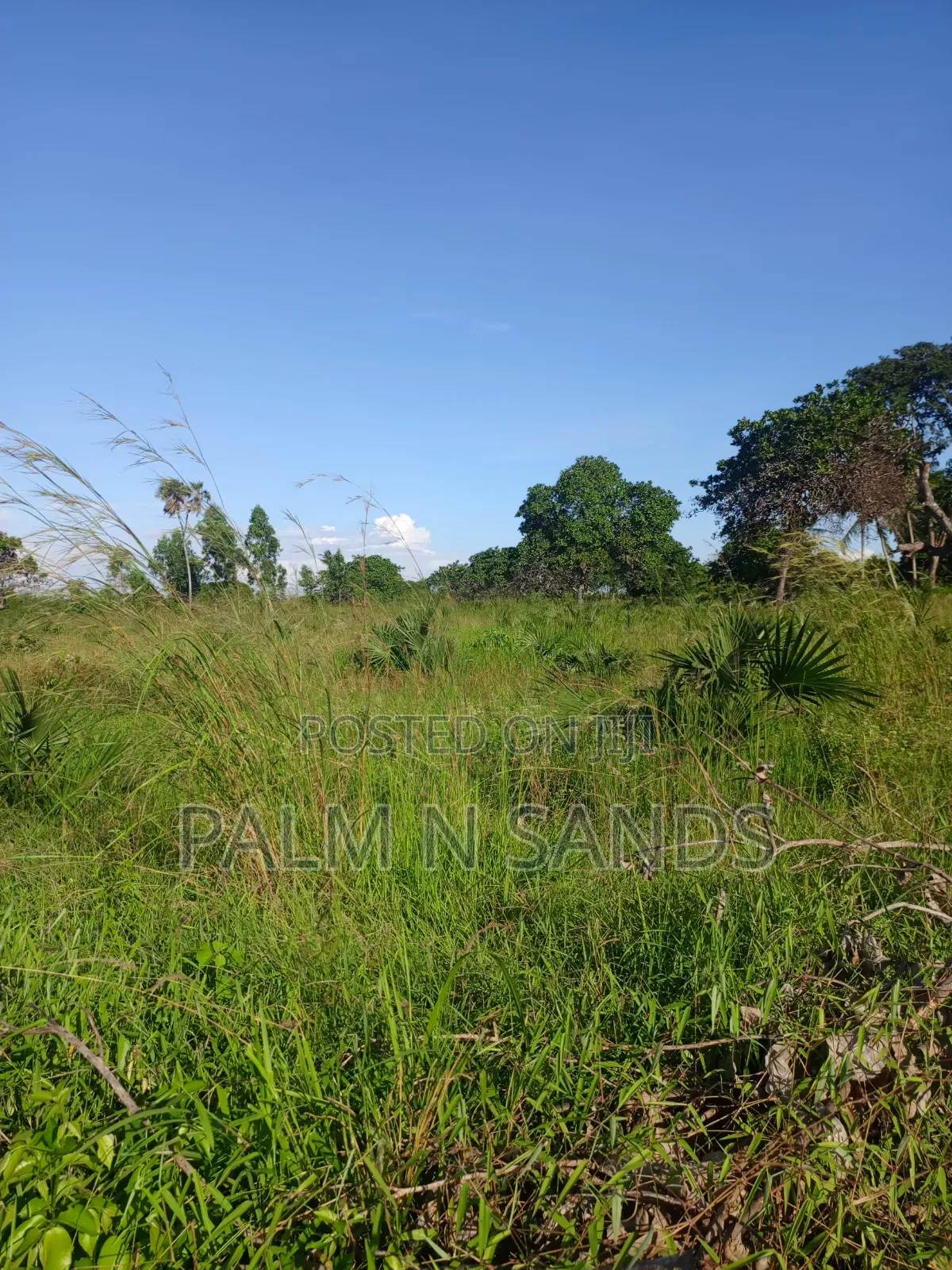 One Acre in Kinondo Diani on Sale! in Diani