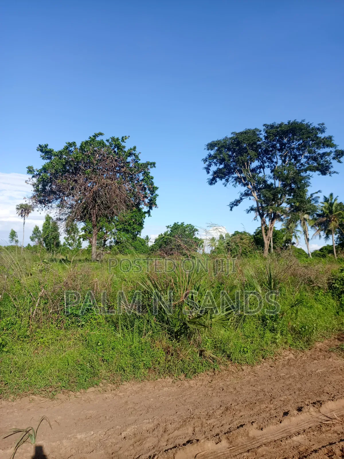 One Acre in Kinondo Diani on Sale! in Diani