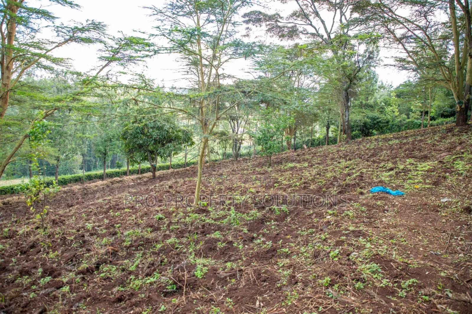 Prime 2-Acre Residential Land for Sale in Ngong – Matasia in Ngong
