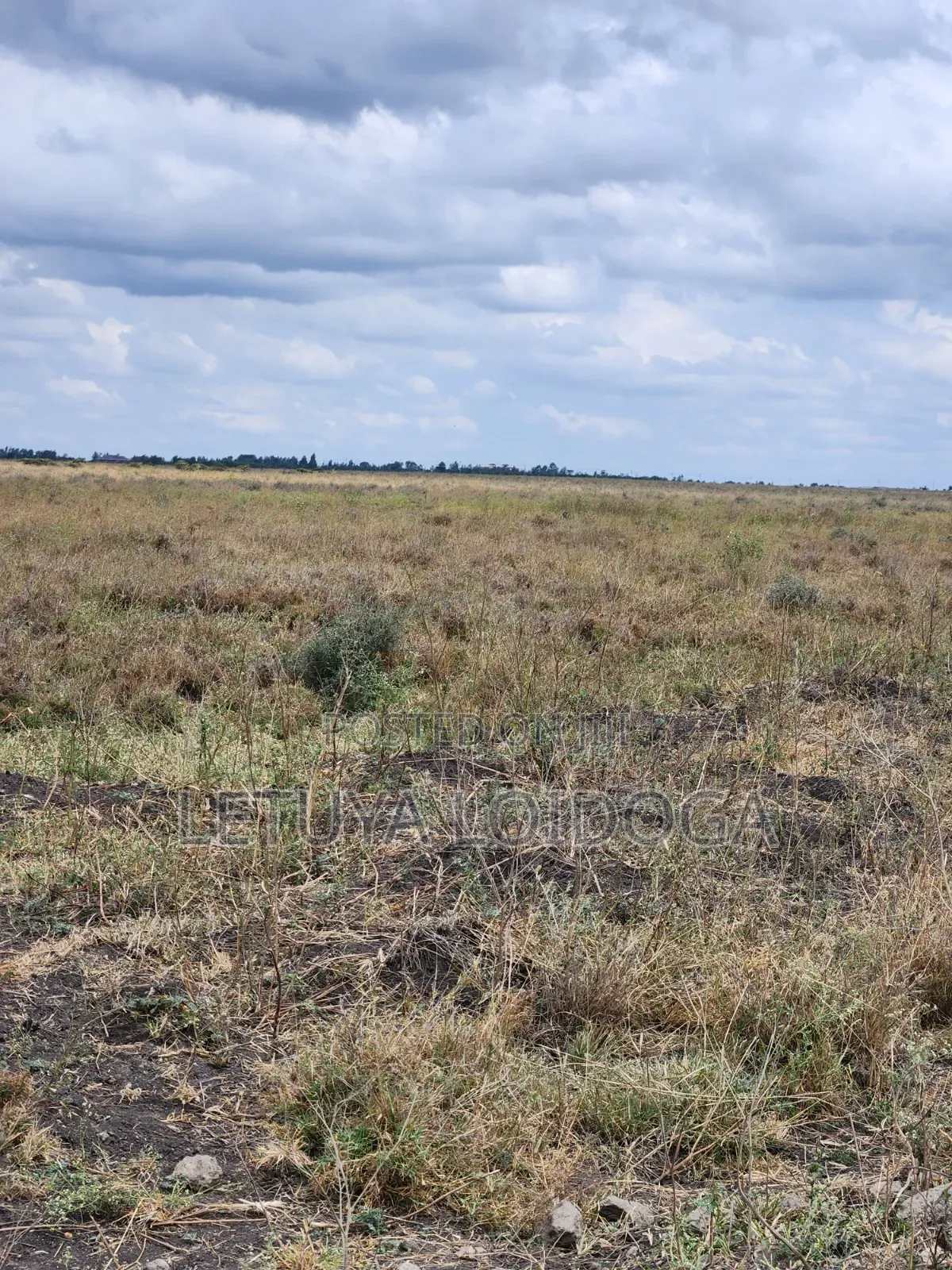 50 Acres Kisaju-Isinya Off Namanga-Nairobi Highway in Isinya