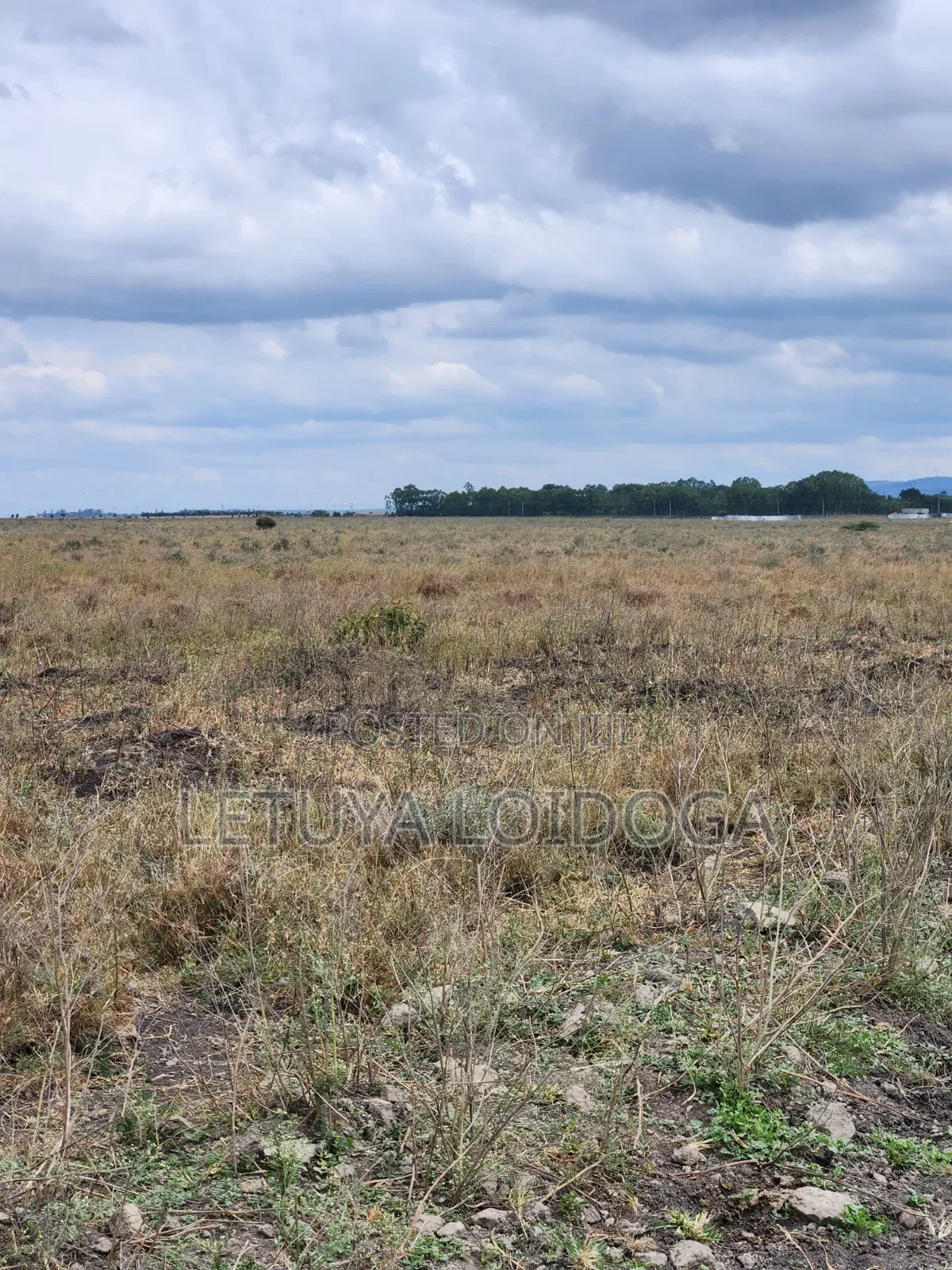 50 Acres Kisaju-Isinya Off Namanga-Nairobi Highway in Isinya