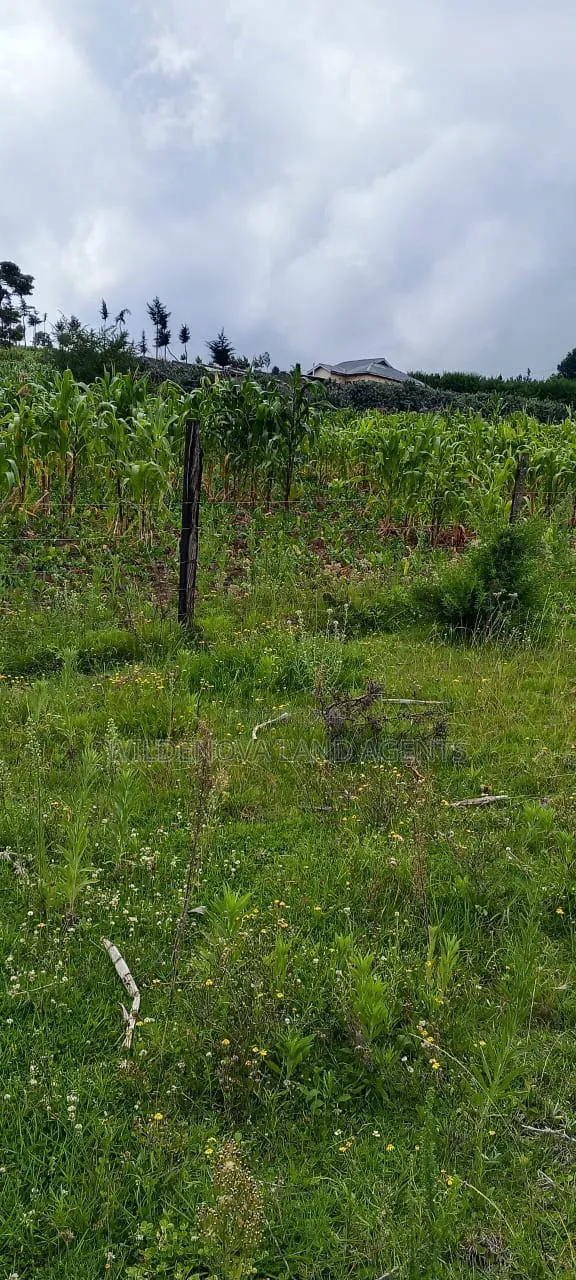 Land on Sale at Naivasha in Naivasha East