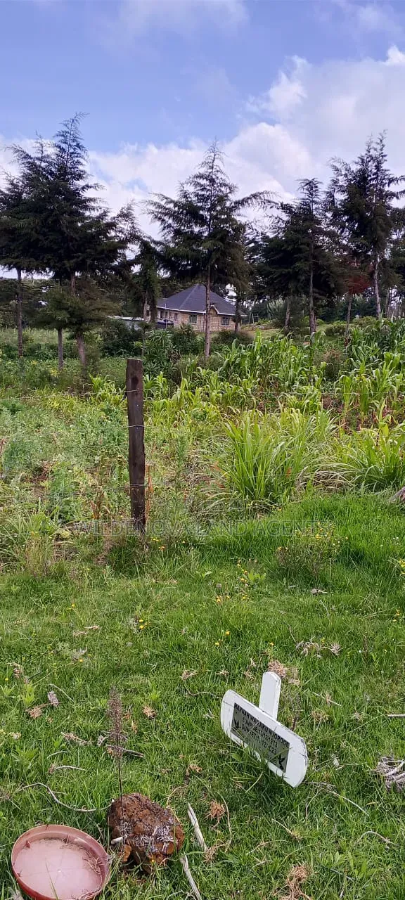 Land on Sale at Naivasha in Naivasha East
