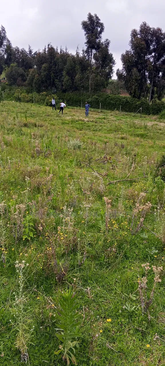 Land on Sale at Naivasha in Naivasha East
