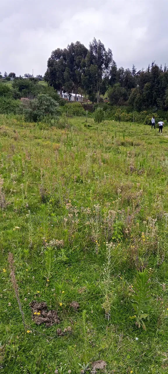 Land on Sale at Naivasha in Naivasha East