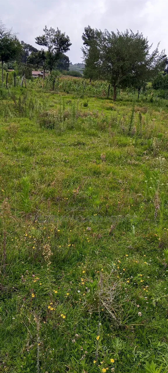 Land on Sale at Naivasha in Naivasha East