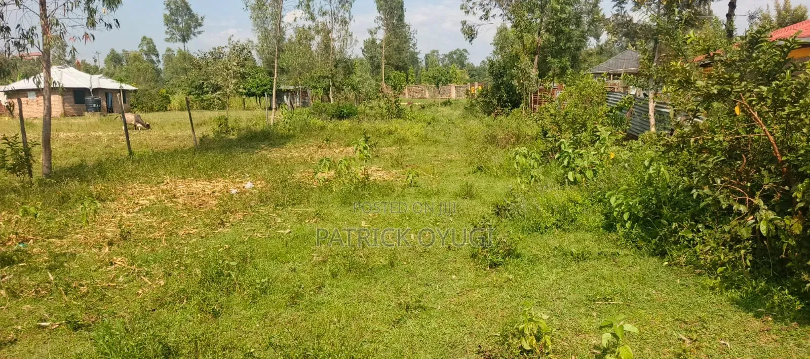 Land for Sale in Kisumu Ojola Area in North Kisumu