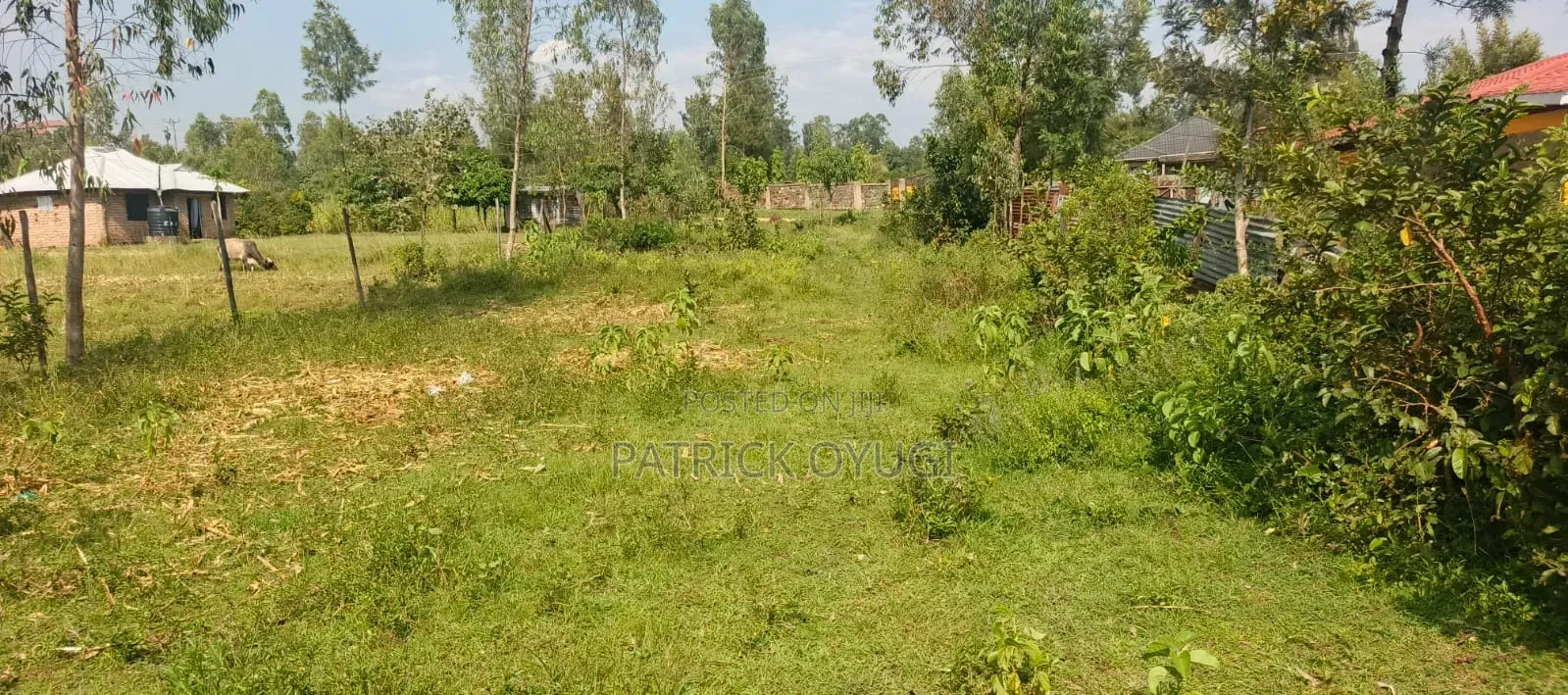 Land for Sale in Kisumu Ojola Area in North Kisumu