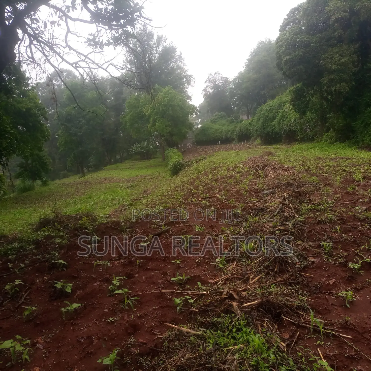 Plot for Sale in Old Kitisuru in Thigiri